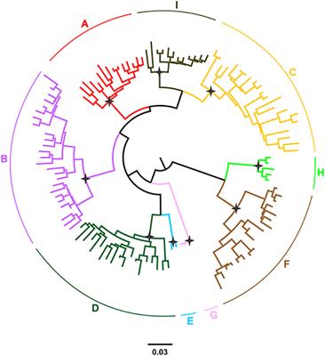 Immunomodulatory Function of HBeAg Related to Short-Sighted Evolution, Transmissibility, and Clinical Manifestation of Hepatitis B Virus